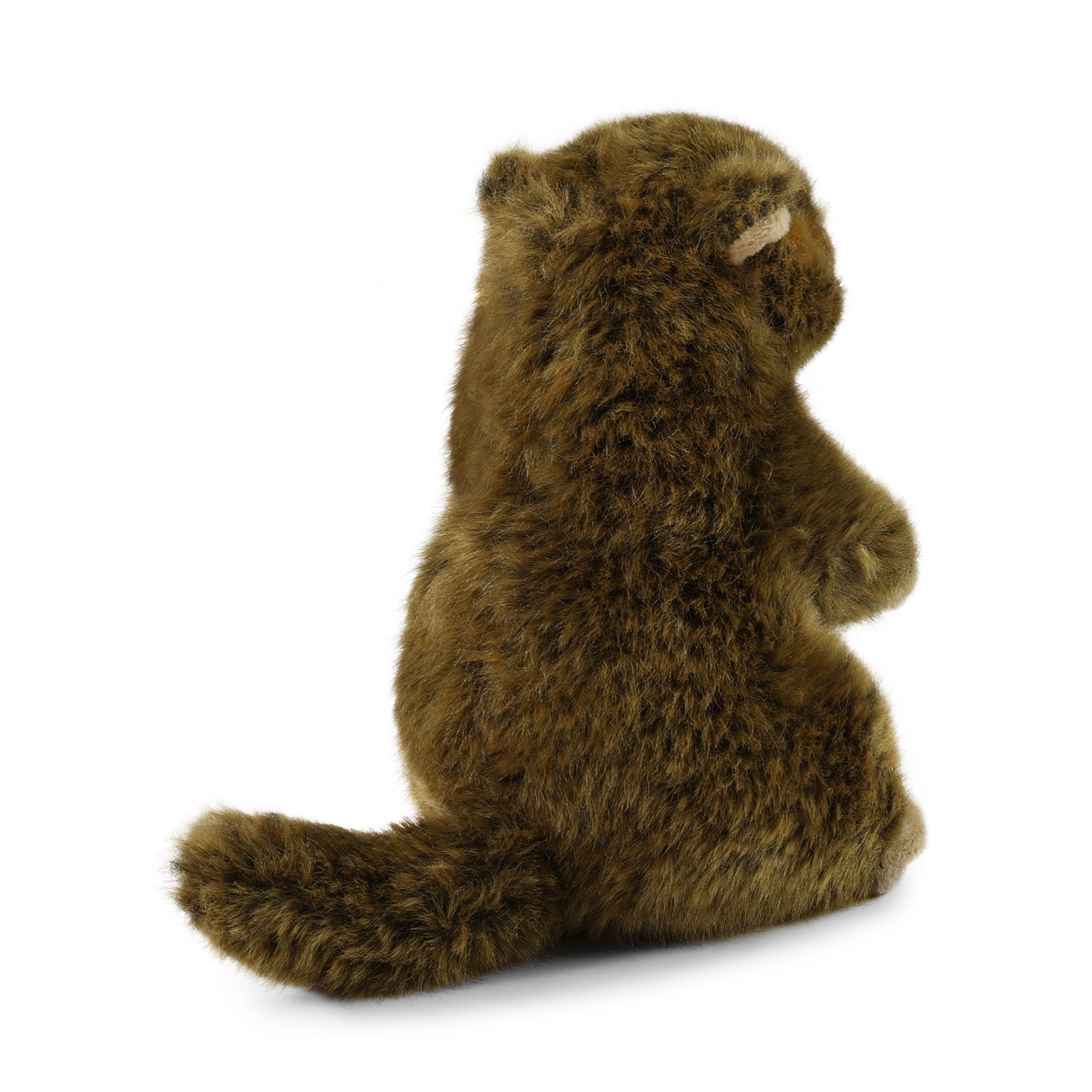 Plyšový svišť 17 cm ECO-FRIENDLY