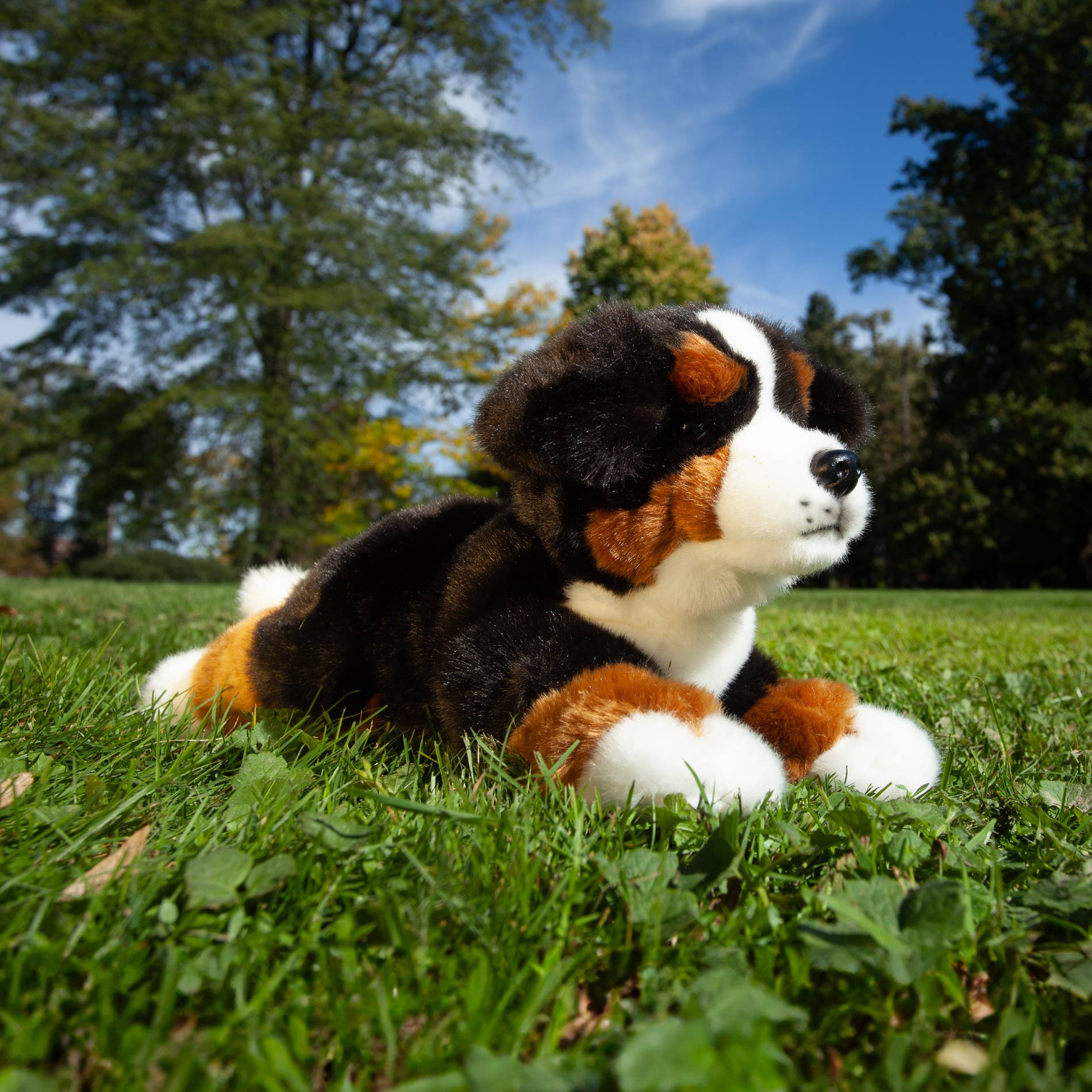 Plyšový pes bernský salašnický ležící 30 cm ECO-FRIENDLY