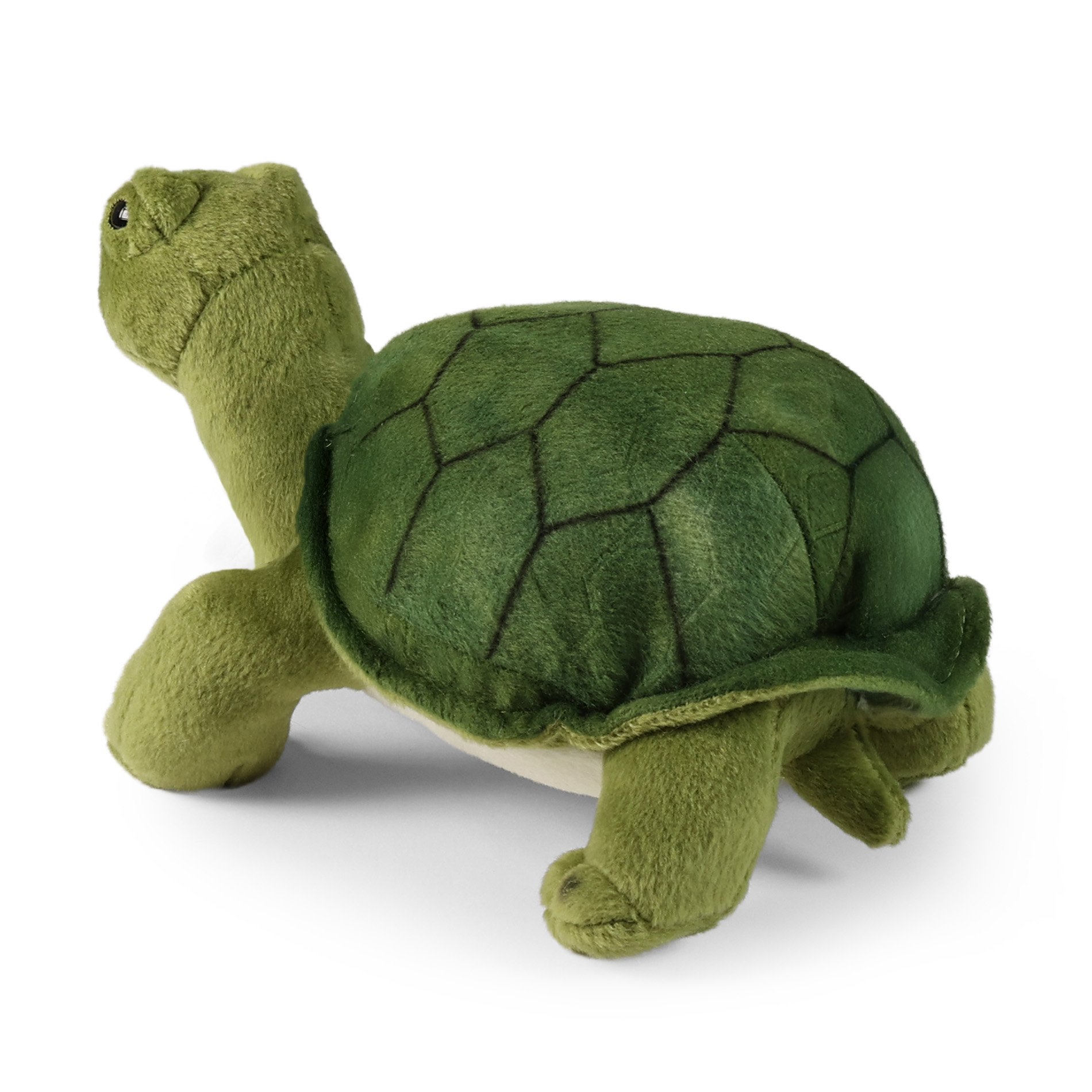 Plyšová želva Agáta zelená 25 cm ECO-FRIENDLY