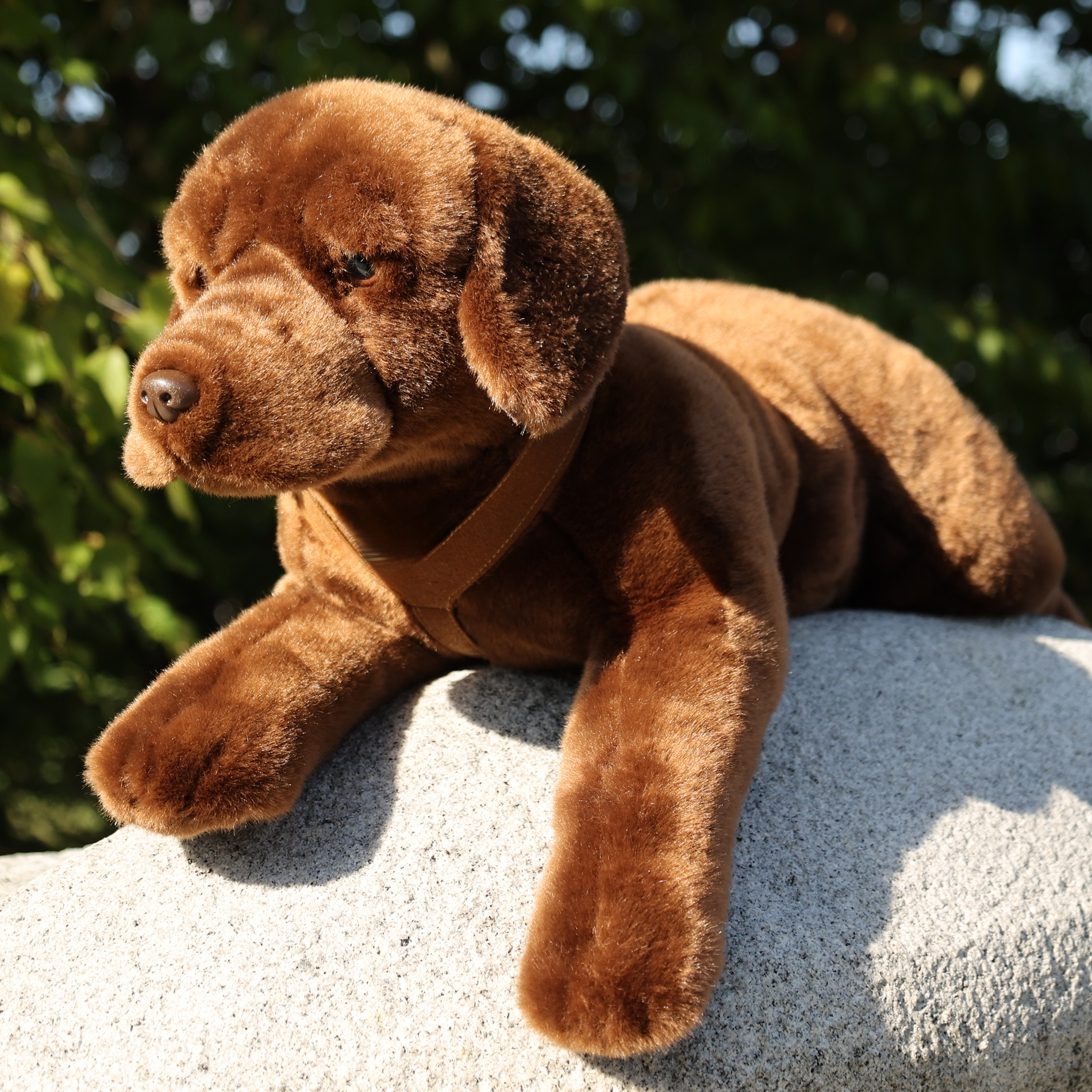 Velký plyšový pes labrador s postrojem 61 cm ECO-FRIENDLY
