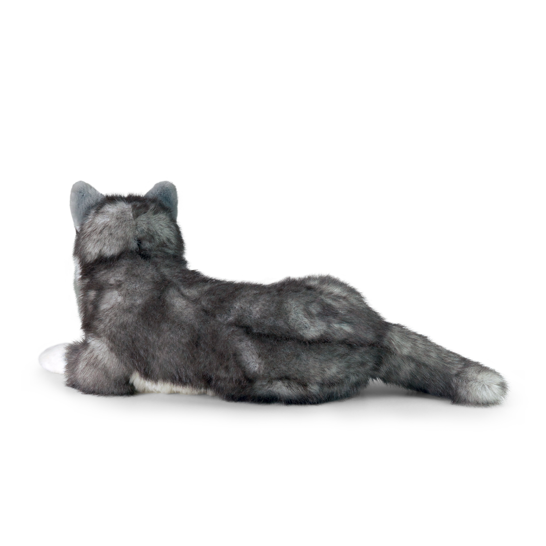 Velký plyšový pes husky 60 cm ECO-FRIENDLY