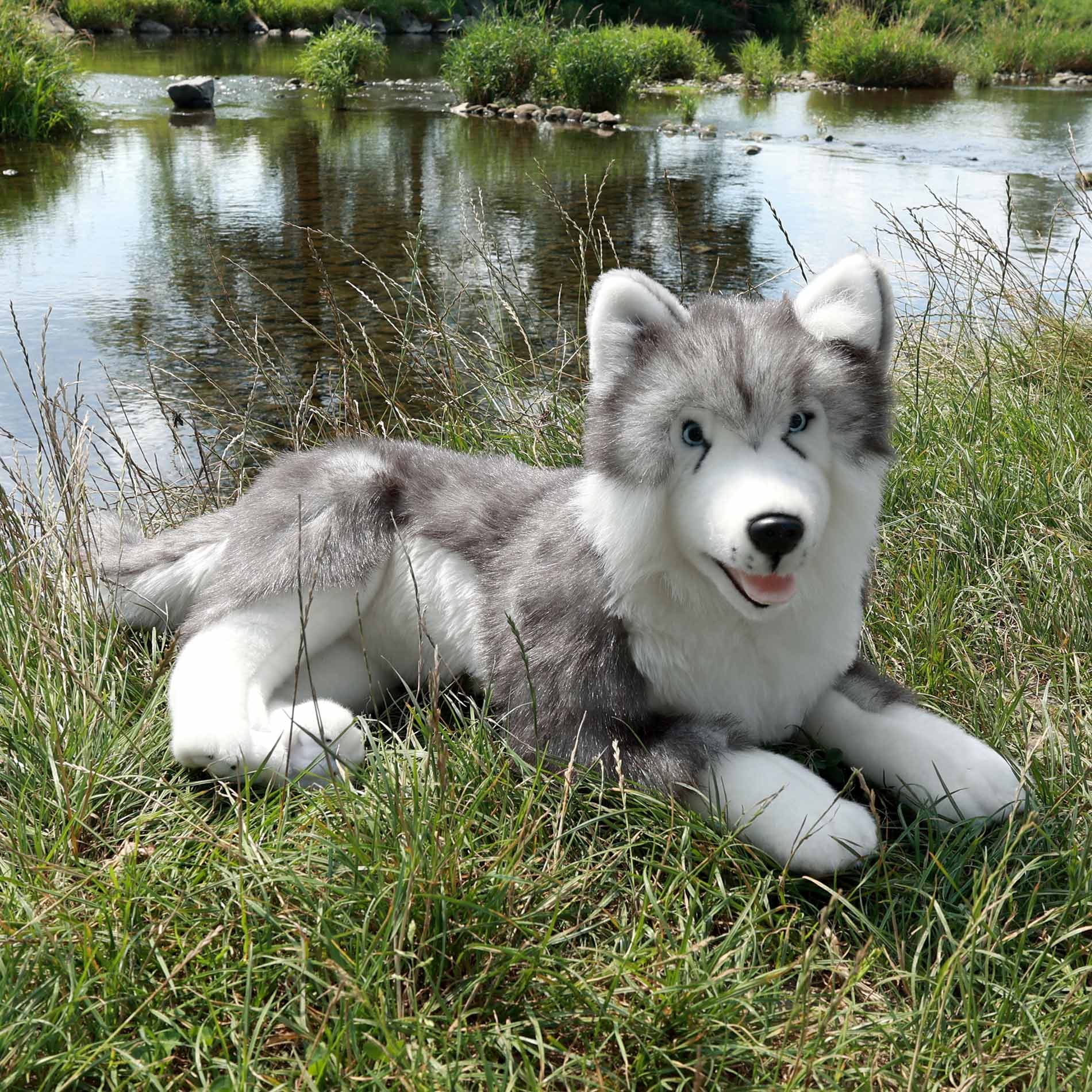 Velký plyšový pes husky 60 cm ECO-FRIENDLY