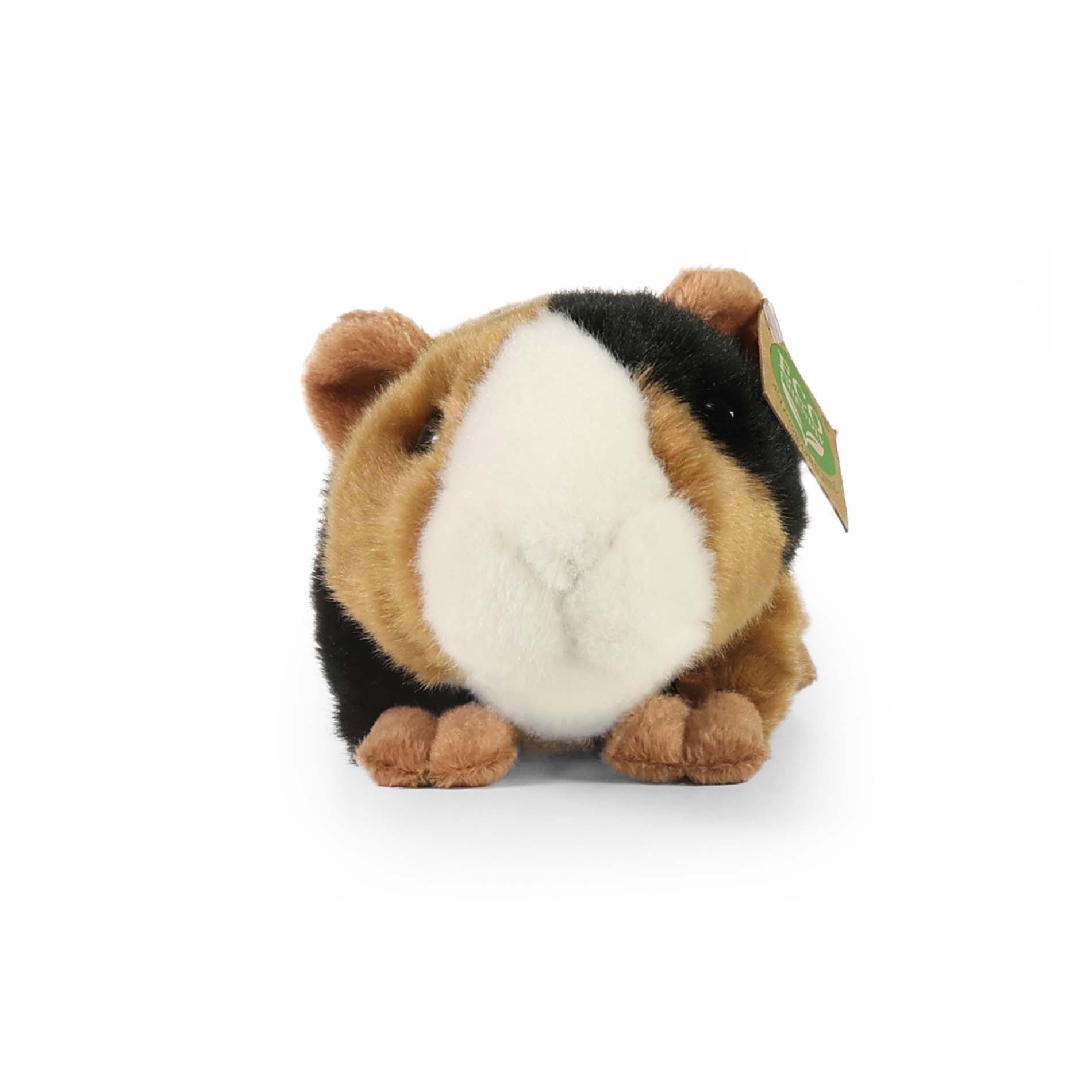 Plyšové morče 22 cm ECO-FRIENDLY