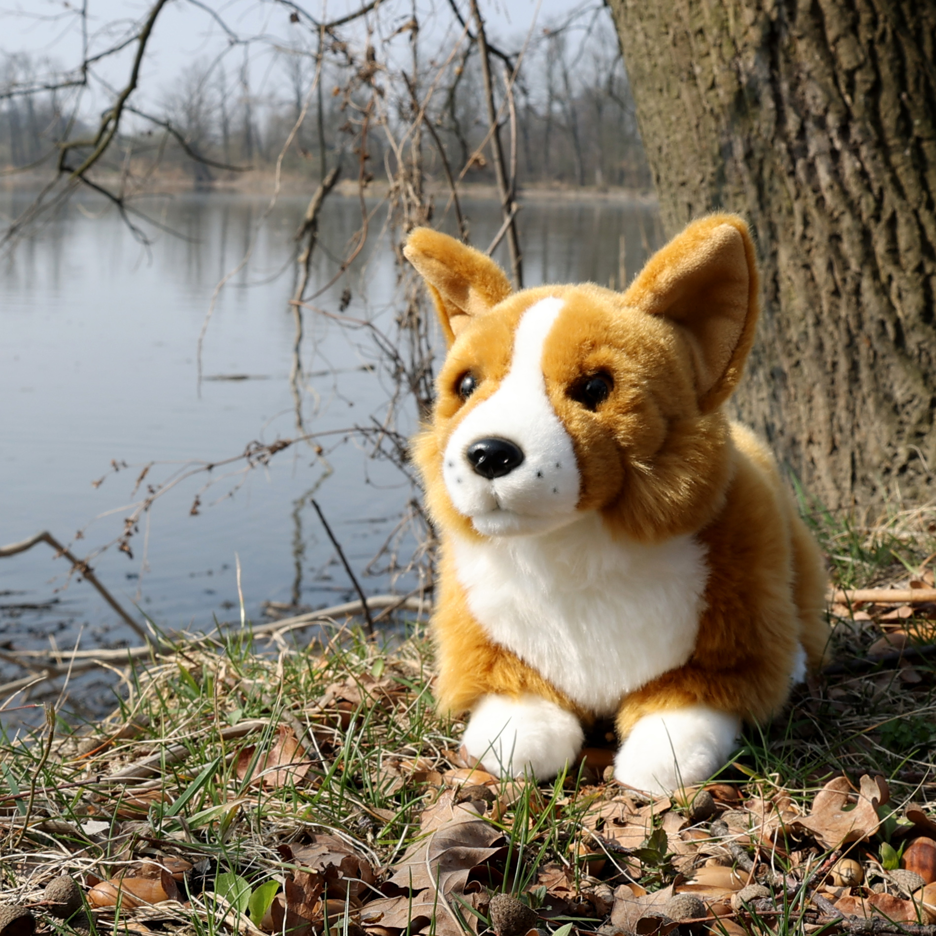 Plyšový pes corgi 32 cm ECO-FRIENDLY