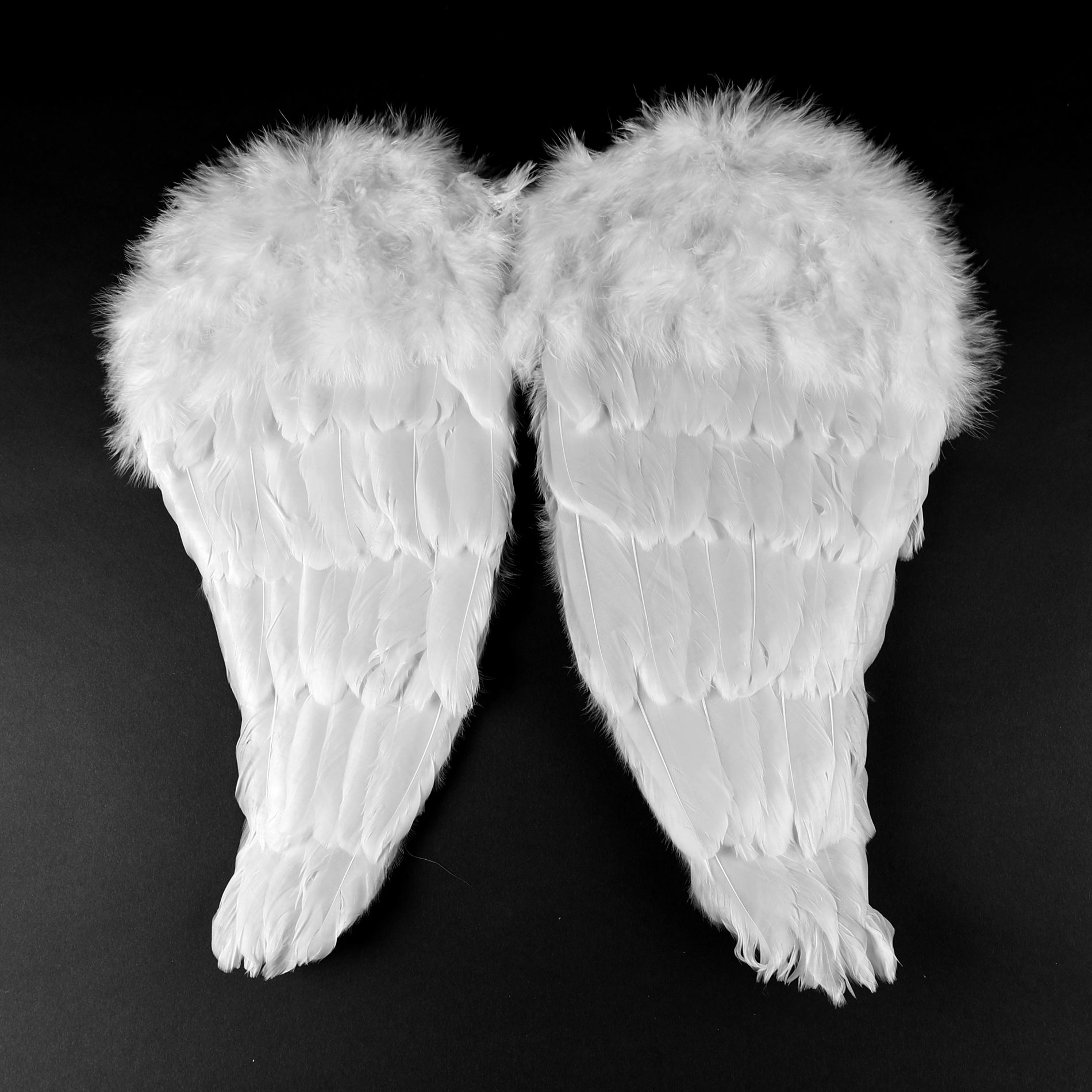 Andělská křídla s peřím 48 cm