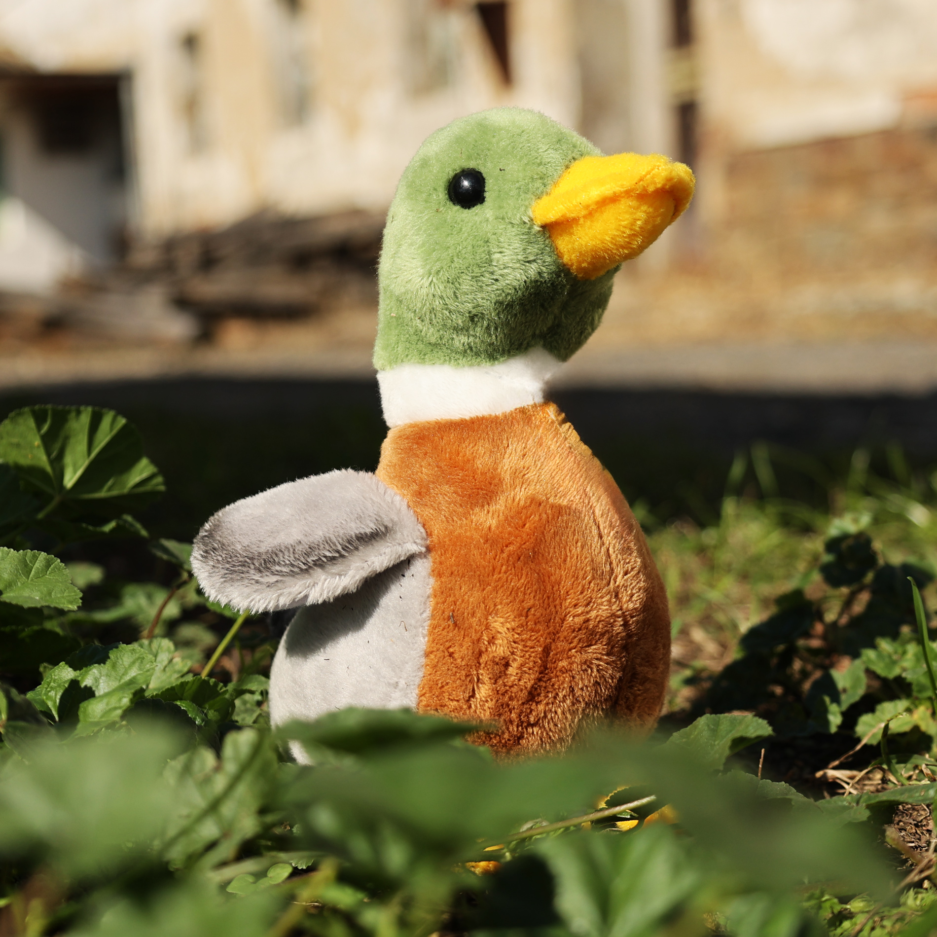 Plyšová kachna divoká 21 cm ECO-FRIENDLY