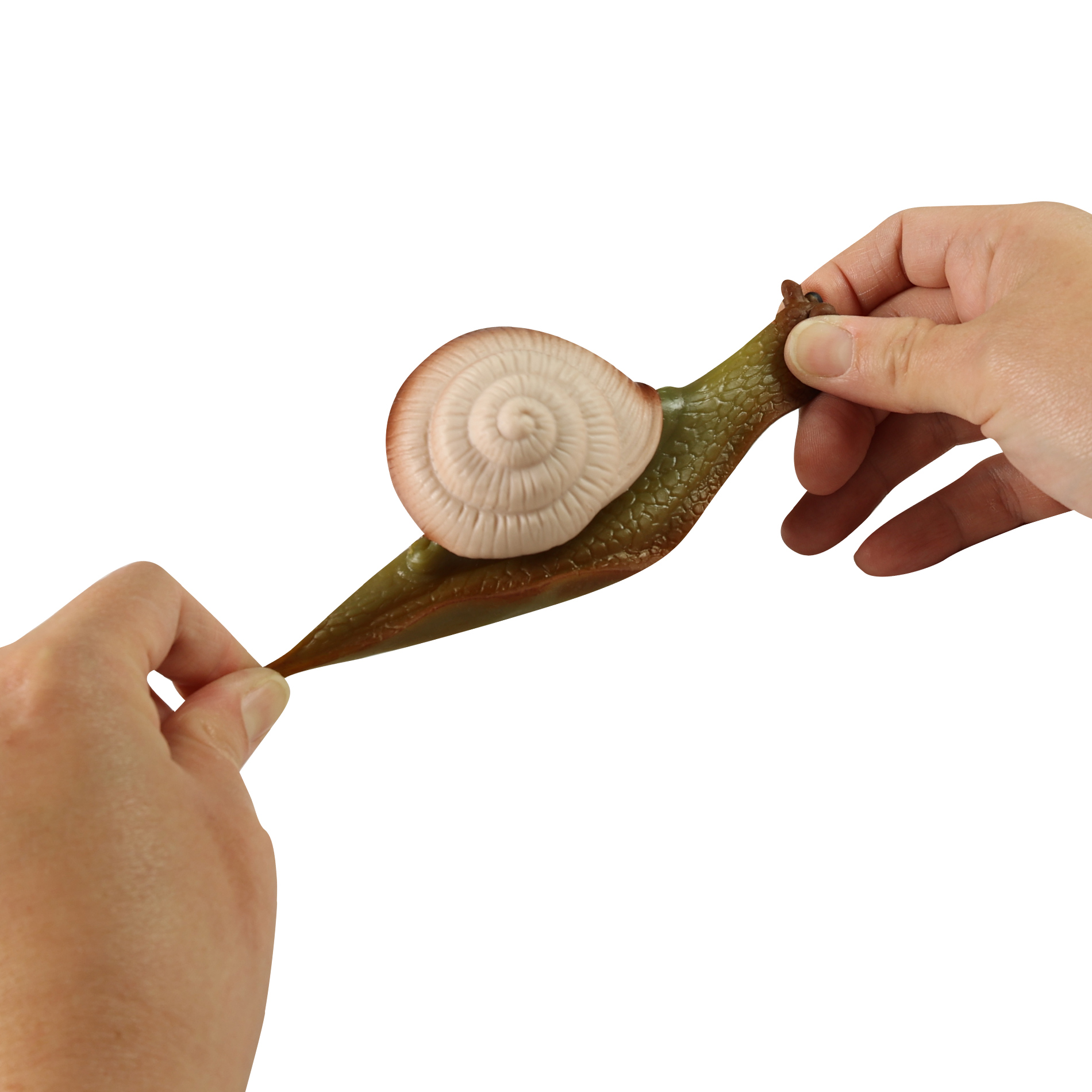 Hlemýžď 11 cm