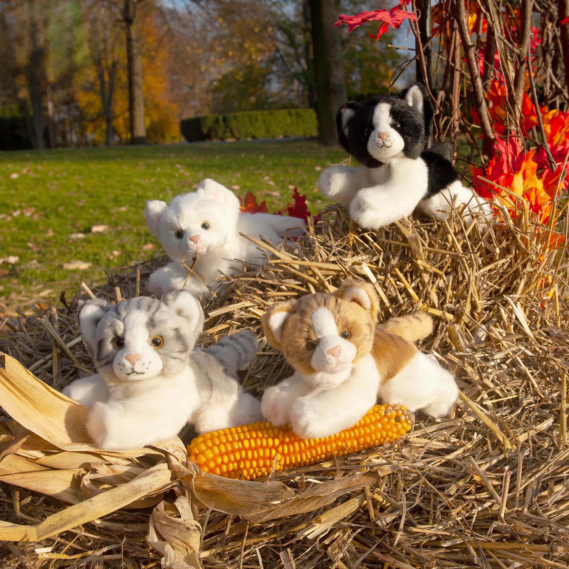 Plyšová kočka ležící 17 cm ECO-FRIENDLY