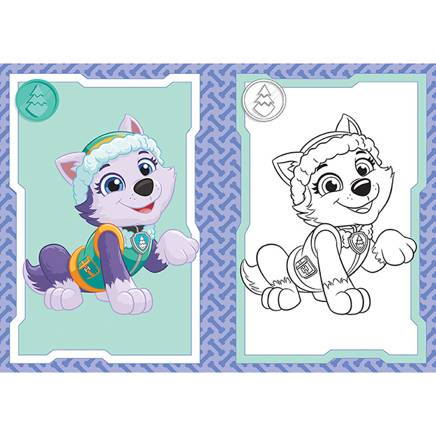 Omalovánka A5 Paw Patrol/Tlapková Patrola pro holky